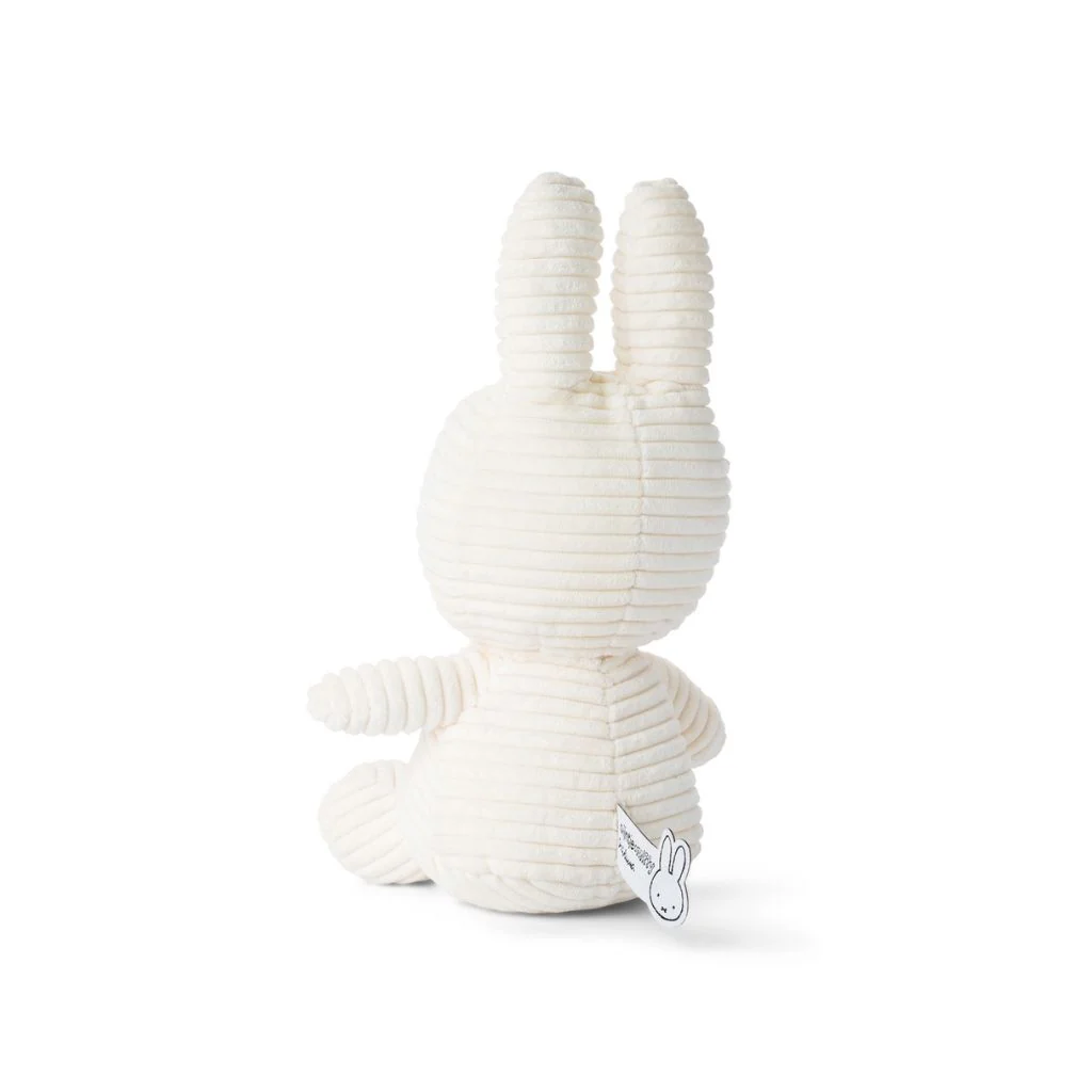 Miniatuur 2